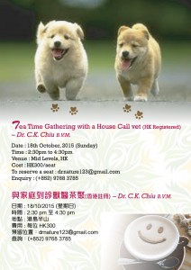 2015 October Tea Time Gathering